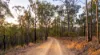 215 Martin Road, Nymboida, NSW 2460-Image