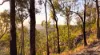 215 Martin Road, Nymboida, NSW 2460-Image