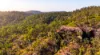 215 Martin Road, Nymboida, NSW 2460-Image