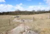 216 Geyers Road, Tenterfield, NSW 2372-Image