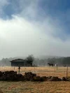 216 Geyers Road, Tenterfield, NSW 2372-Image