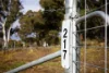 217 Golden Age Road, Grosses Plain, NSW 2627