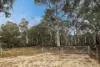 217 Golden Age Road, Grosses Plain, NSW 2627-Image