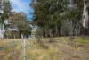 217 Golden Age Road, Grosses Plain, NSW 2627-Image
