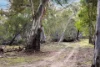 217 Golden Age Road, Grosses Plain, NSW 2627-Image