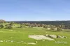 219 Daintys Lane, Elphinstone, Vic 3448-Image