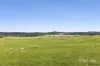 219 Daintys Lane, Elphinstone, Vic 3448-Image