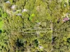 2195 Springbrook Road, Springbrook, Qld 4213