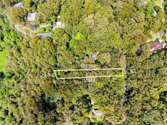 2195 Springbrook Road, Springbrook, Qld 4213