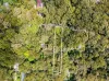 2195 Springbrook Road, Springbrook, Qld 4213-Image