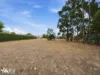 21B Boyle Street, Triabunna, Tas 7190-Image