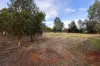 21B Raglan Street, Auburn, SA 5451-Image