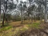 22-24 Wandoo Avenue, Macleay Island, Qld 4184