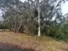 22-24 Wandoo Avenue, Macleay Island, Qld 4184-Image