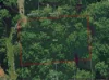 22-24 Wandoo Avenue, Macleay Island, Qld 4184-Image
