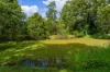 22 Abbott Road, Glenwood, Qld 4570-Image