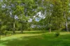 22 Abbott Road, Glenwood, Qld 4570-Image