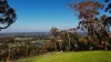22 Allison Road, Mount Eliza, Vic 3930-Image