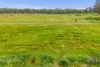 22 Avellino Way, Strathfieldsaye, Vic 3551-Image