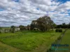 22 Carl Street, Muchea, WA 6501-Image