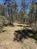 22 Cramer Avenue, Laidley South, Qld 4341-Image