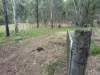 22 Cramer Avenue, Laidley South, Qld 4341-Image