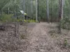 22 Cramer Avenue, Laidley South, Qld 4341-Image