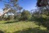 22 David Street, Blairgowrie, Vic 3942-Image