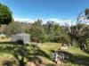 22 Fossickers Trail, Goughs Bay, Vic 3723-Image