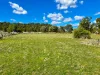 22 Hill Street, Warialda Rail, NSW 2402-Image