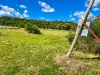 22 Hill Street, Warialda Rail, NSW 2402-Image