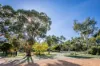 22 Mason Road, Naracoorte, SA 5271