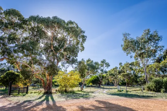 22 Mason Road, Naracoorte, SA 5271