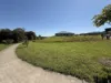 22 Morgan Close, Yungaburra, Qld 4884-Image