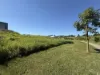 22 Morgan Close, Yungaburra, Qld 4884-Image
