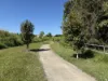 22 Morgan Close, Yungaburra, Qld 4884-Image