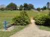 22 Morgan Close, Yungaburra, Qld 4884-Image