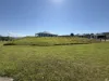 22 Morgan Close, Yungaburra, Qld 4884-Image