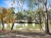 22 River Drive, Paisley, SA 5357-Image
