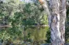 22 Sinclair Drive, Tea Gardens, NSW 2324-Image