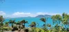 22 Webber Esplanade, Cooktown, Qld 4895
