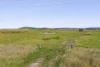 220 Creswick Road, Clunes, Vic 3370-Image