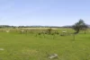 220 Creswick Road, Clunes, Vic 3370-Image