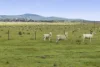 220 Creswick Road, Clunes, Vic 3370-Image