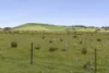 220 Creswick Road, Clunes, Vic 3370-Image