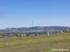 221 Lawrence Drive, Kelso, NSW 2795-Image
