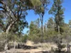 221 Rosella Avenue, The Pines, Qld 4357-Image