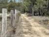 221 Rosella Avenue, The Pines, Qld 4357-Image