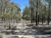221 Rosella Avenue, The Pines, Qld 4357-Image
