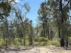 221 Rosella Avenue, The Pines, Qld 4357-Image